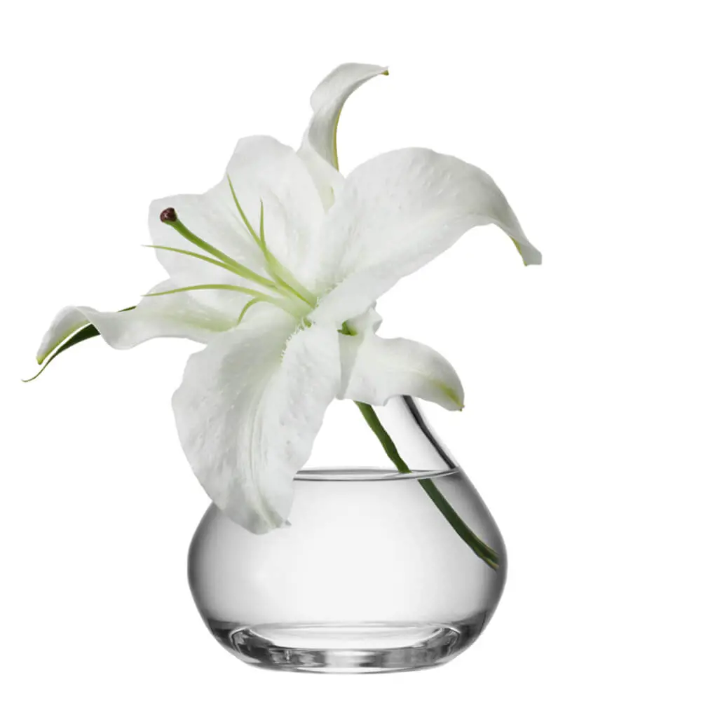 LSA Flower Sprig Vase